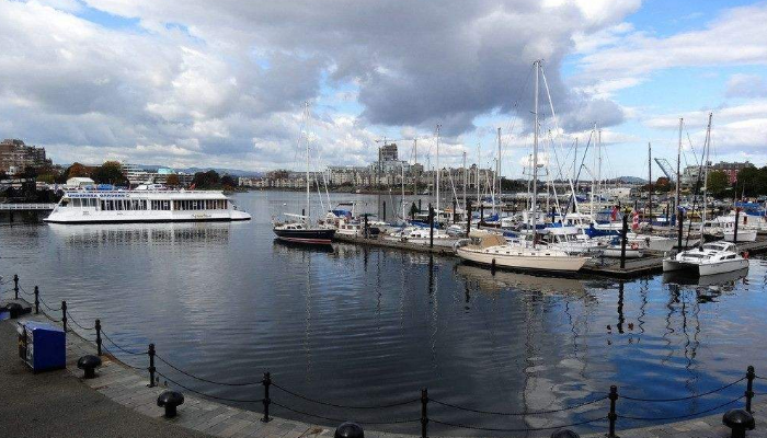 進(jìn)口報(bào)關(guān)代理