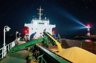 國際貨運(yùn)代理：海運(yùn) / 空運(yùn) / 陸運(yùn)全航線，訂艙到派送一站搞定